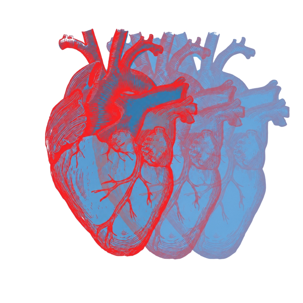 AICCA ETS, Associazione Italiana dei Cardiopatici Congeniti bambini e Adulti